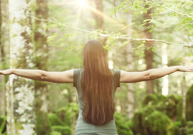 Säuren und Basen bilden eine Einheit im Körper