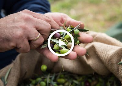 naturschön video Bild