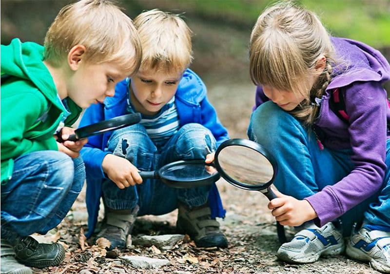 Kinder schauen sich mit Lupen etwas auf dem Boden an
