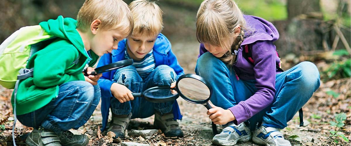 Kinder schauen sich mit Lupen etwas auf dem Boden an