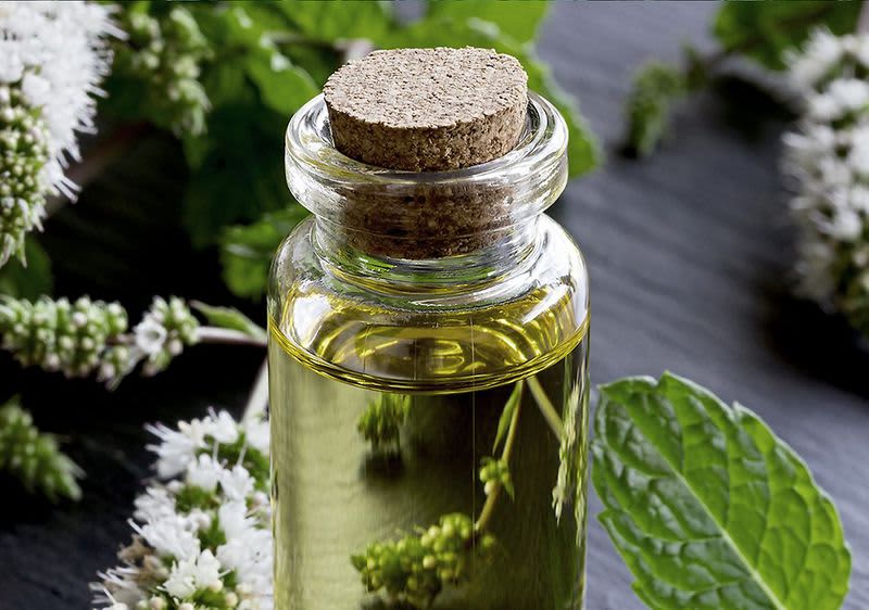 Pfefferminzöl