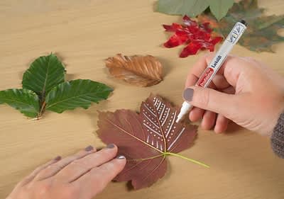 Blätterkarten Bild 2