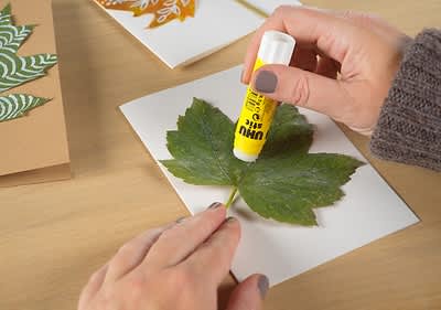 Blätterkarten Bild 3