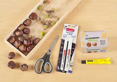 Kastanientiere Schritt 1