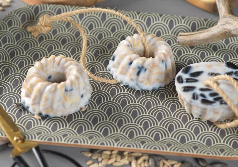 Vogelfutter Aufmacher