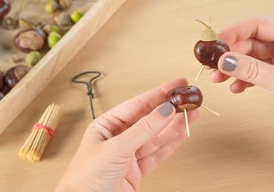 Kastanientiere Schritt 1