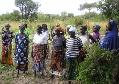 alverde Naturkosmetik Burkina Faso Bild 1