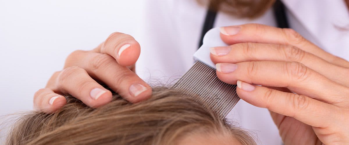 Kind bekommt Haare mit Nissenkamm gekämmt