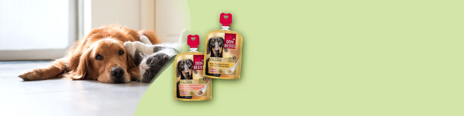 Dein Bestes Hundefutter
