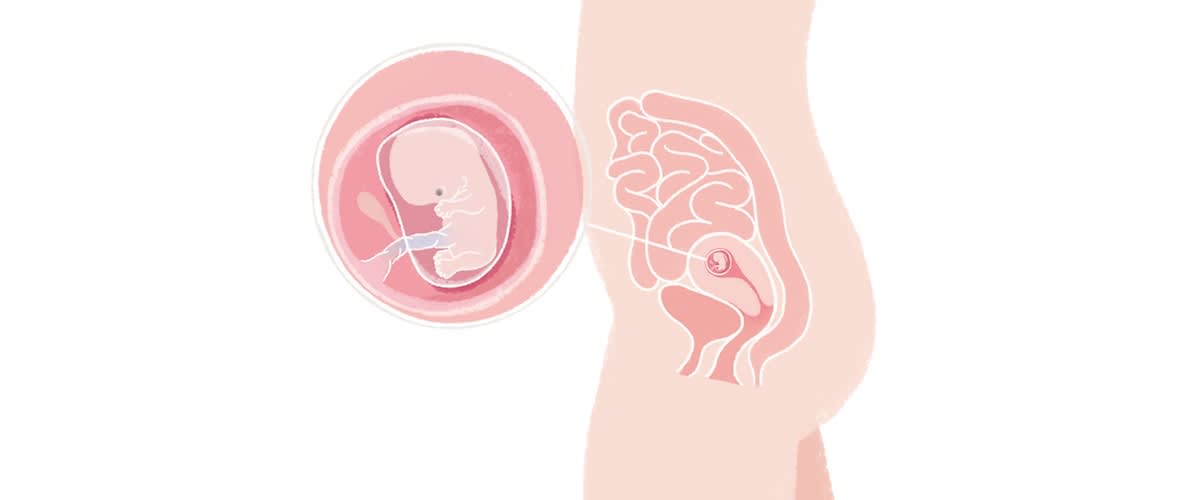 Baby in der 9. SSW