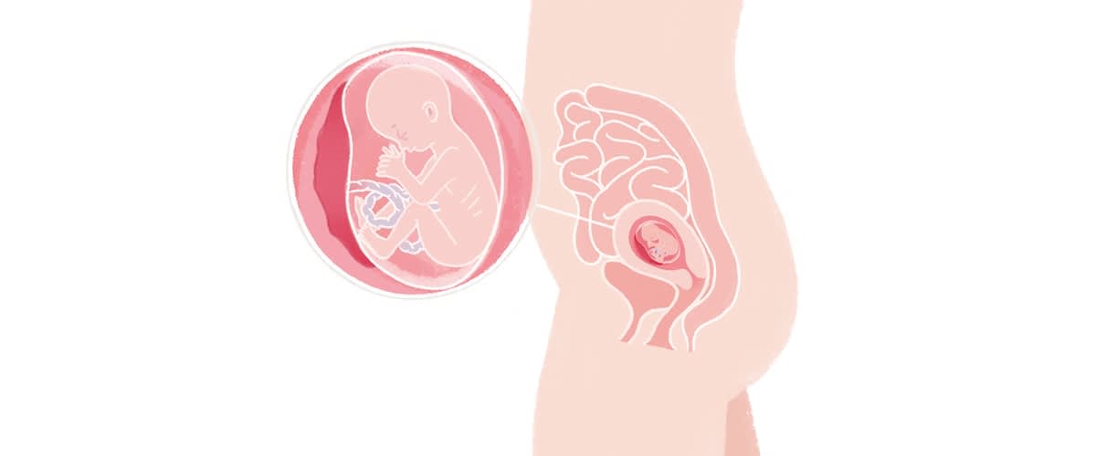 Baby in der 16. SSW