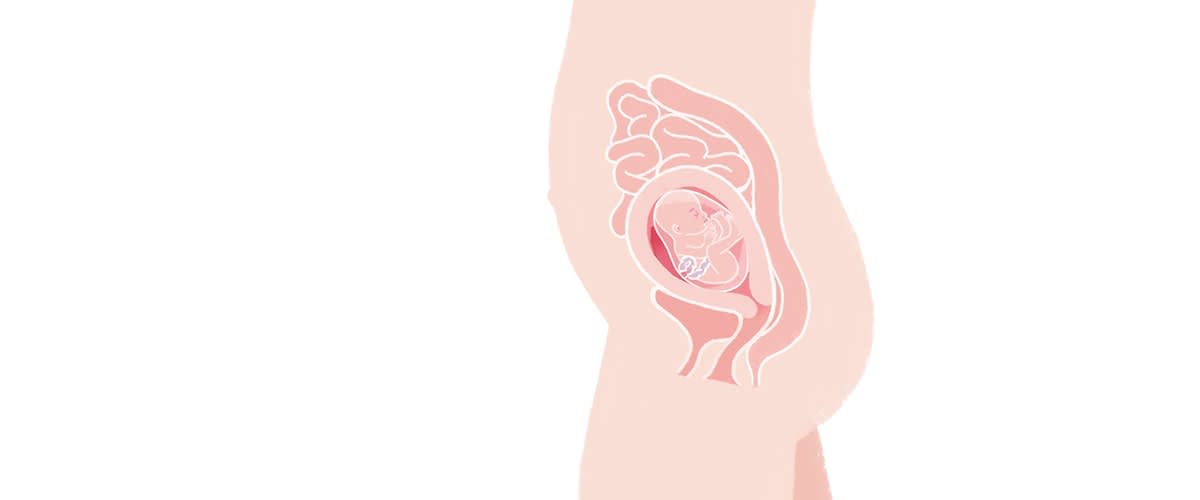 Baby in der 21. SSW