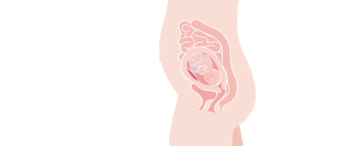 Baby in der 22. SSW
