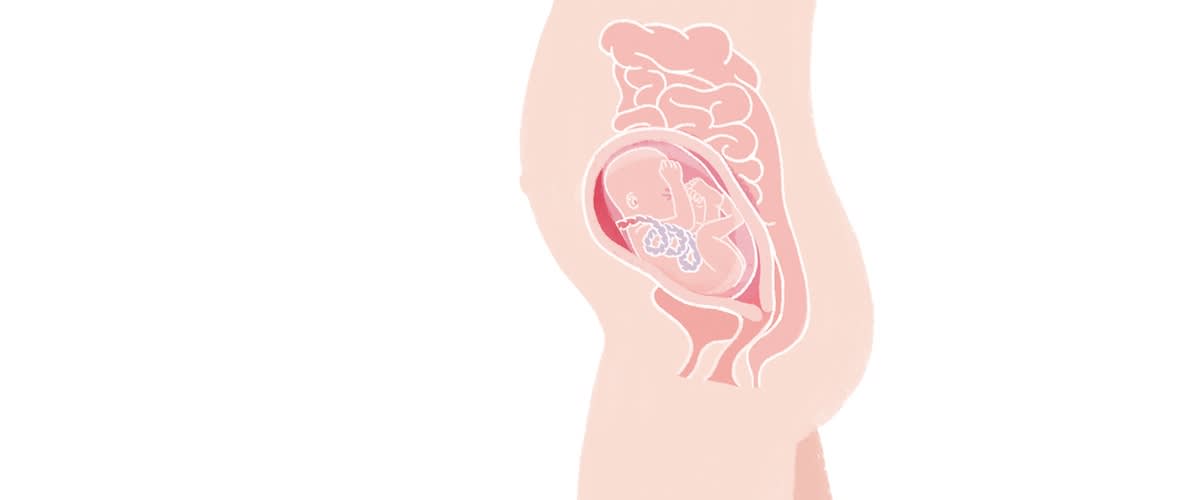 Baby in der 26. SSW