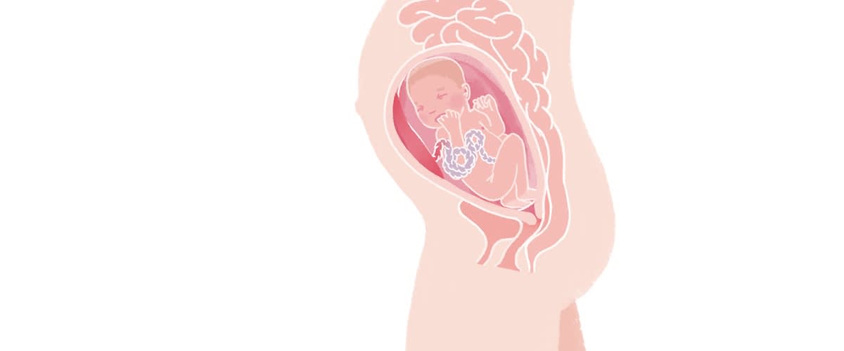 Baby in der 29. SSW