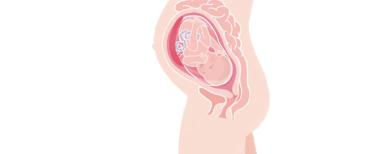 Baby in der 31. SSW