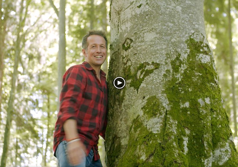 Videovorschaubild von Willi Weitzel