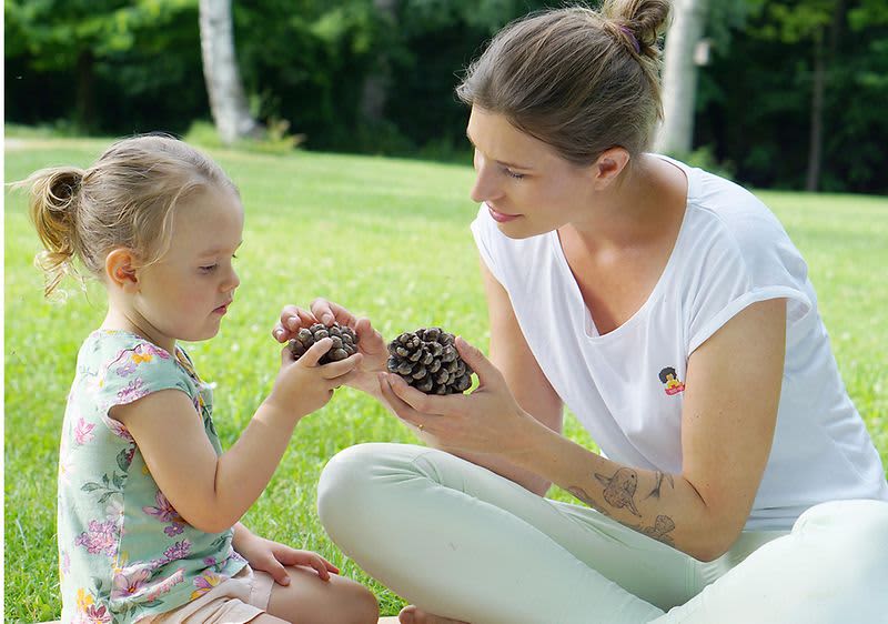 Tannenzapfen fühlen
