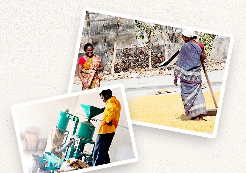 Eine sichere Lebensgrundlage