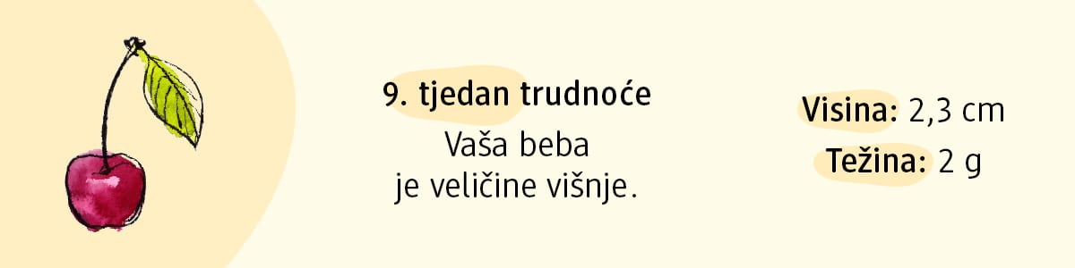 9. tjedan trudnoće