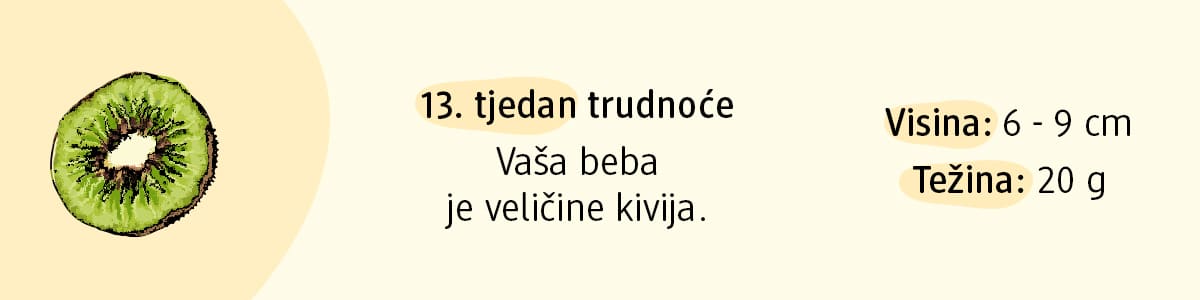 13. tjedan trudnoće