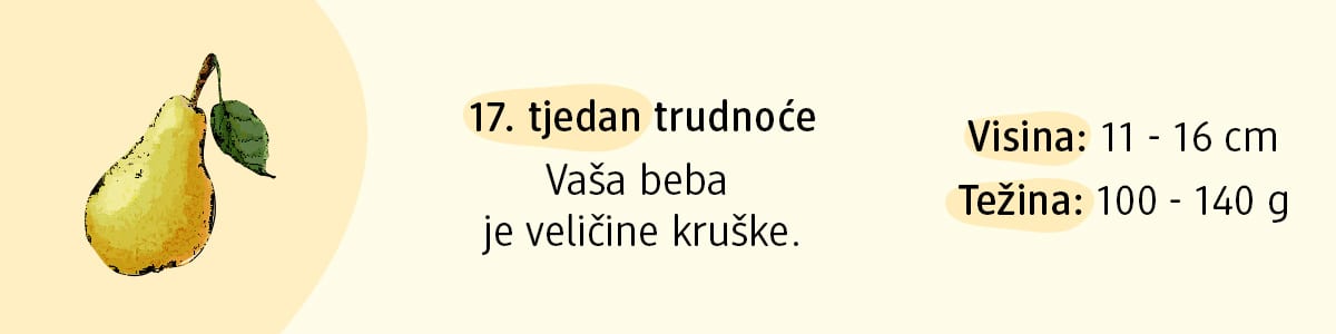 17. tjedan trudnoće