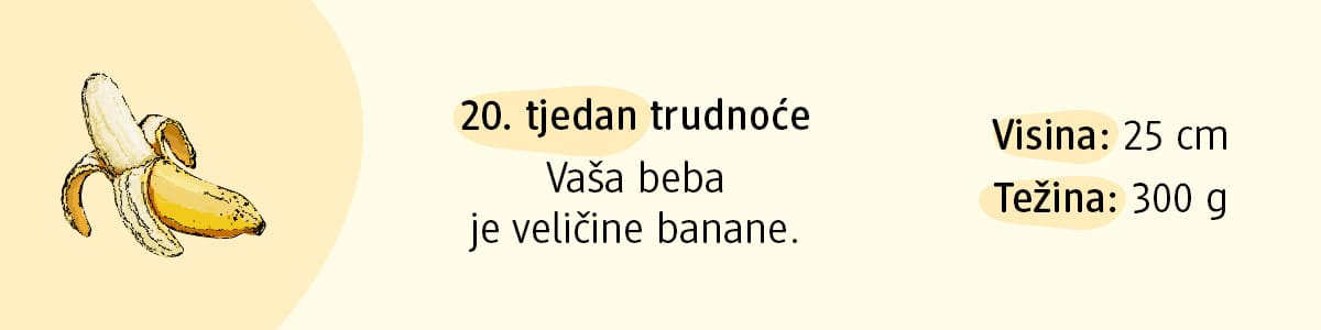20. tjedan trudnoće