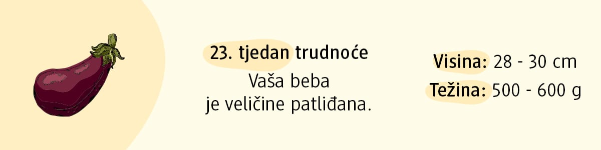 23. tjedan trudnoće
