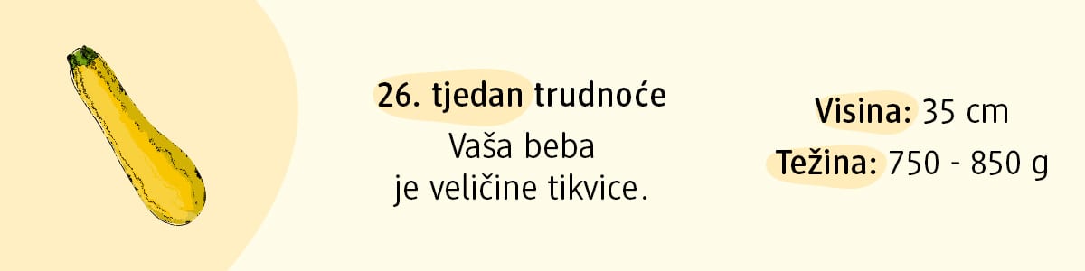 26. tjedan trudnoće