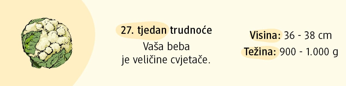 27. tjedan trudnoće