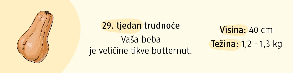 29. tjedan trudnoće