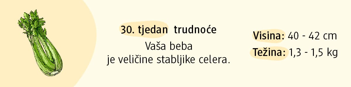 30. tjedan trudnoće