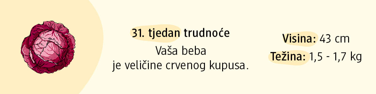 31. tjedan trudnoće