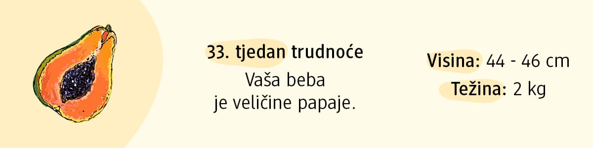 33. tjedan trudnoće
