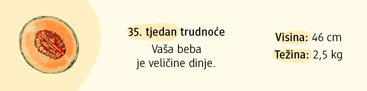 35. tjedan trudnoće