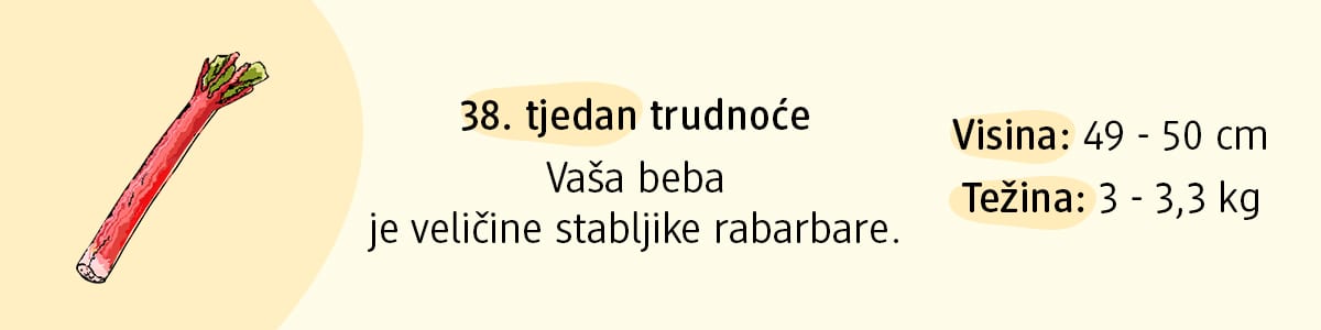 38. tjedan trudnoće