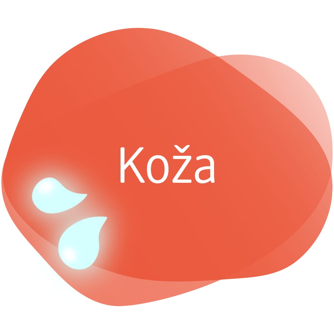 Koža