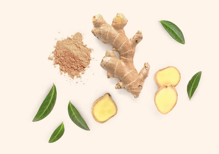 ĐUMBIR (Zingiber officinale)