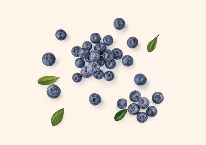 BOROVNICA (Vaccinium myrtillus)