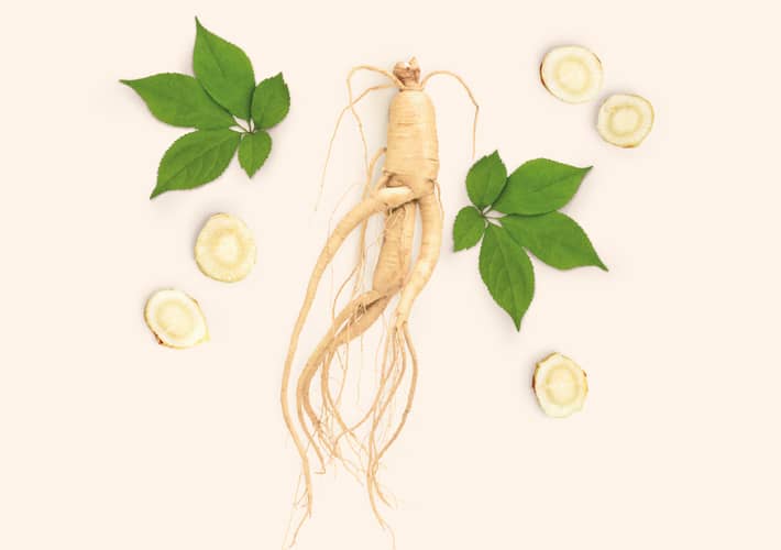 GINSENG (Panax ginseng)