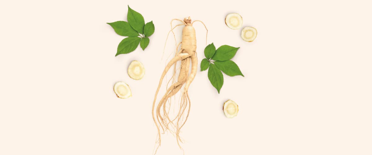 GINSENG (Panax ginseng)