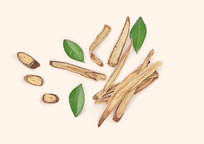 KORIJEN SLADIĆA (Glycyrrhiza glabra)