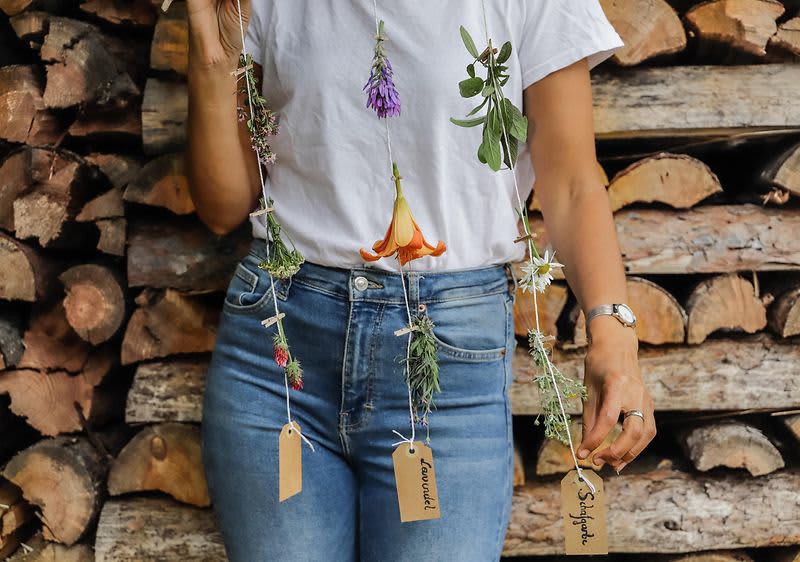 Ukras za zid od cvijeća i biljaka