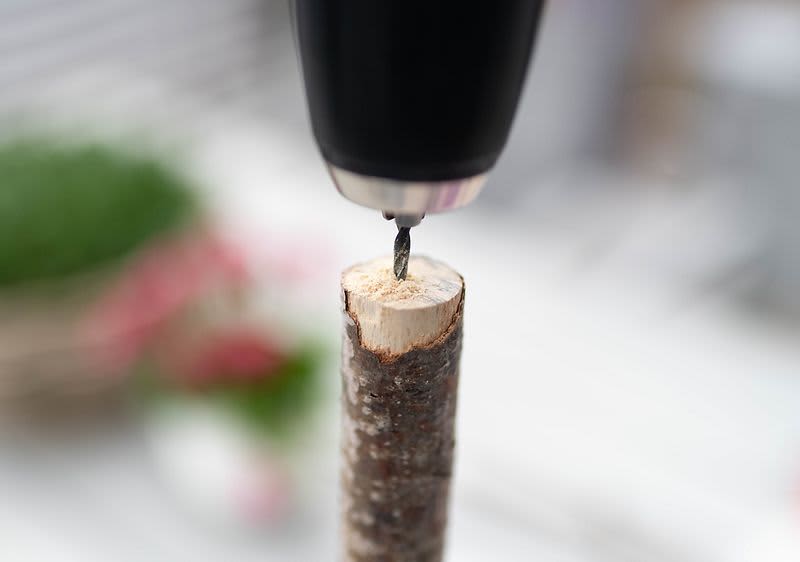 Bušilicom izbušite rupu u grani