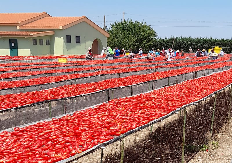 dmBio gurmansko putovanje u Italiju