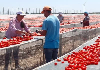 dmBio gurmansko putovanje u Italiju
