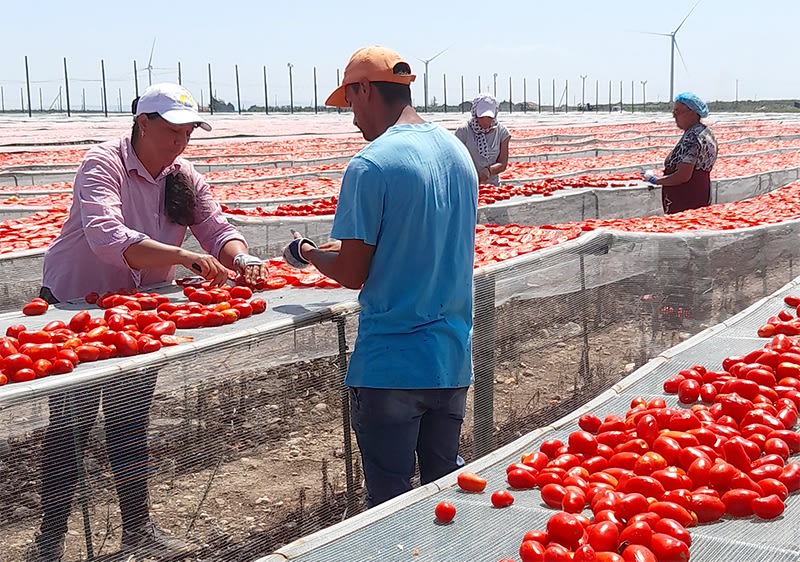 dmBio gurmansko putovanje u Italiju