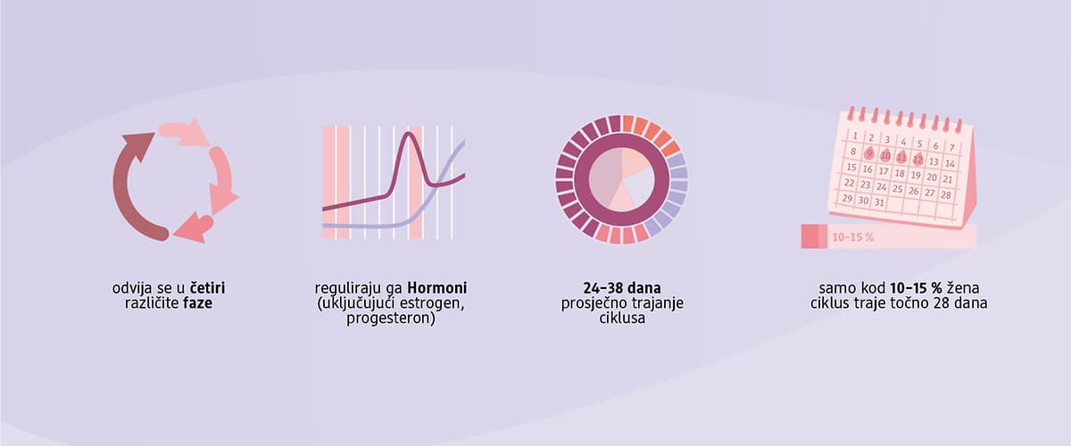 Ženski ciklus