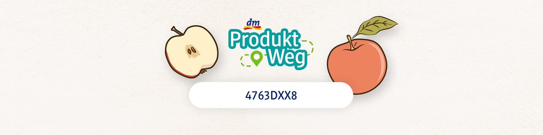 Životni put proizvoda 4763DXX8