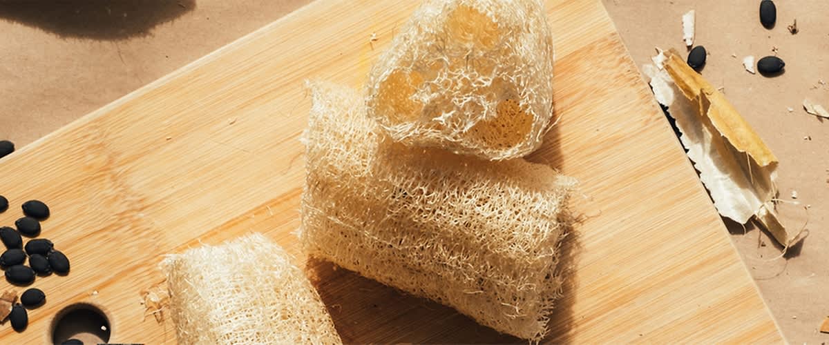 Luffa-spužva